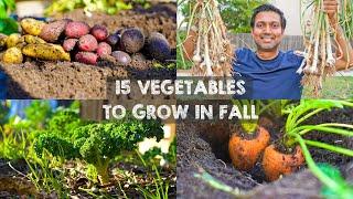 15 Vegetables YOU MUST Grow in FALL or AUTUMN