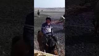 Улок купкари бешарик
