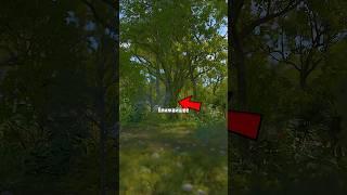 Как спрятать лут в Rust? #rust #раст