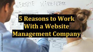 5 Reasons to Work With a Website Management Company