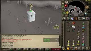 Pking with dds for 3 days