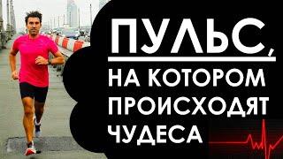 1-й аэробный порог. Пульс, на котором в спорте происходят чудеса