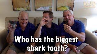 Megalodon Tooth Hunting | BLUE WORLD VLOG