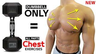 أقوى تمارين الصدر ( بالدمبلز فقط ) كمال الاجسام - chest workout with dumbbells
