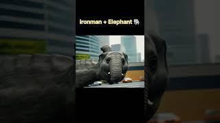 iron man+elephant
