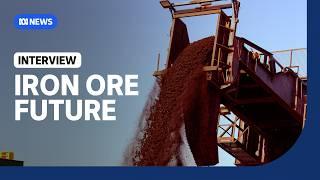 Why the iron ore price is under pressure | The Business | ABC News