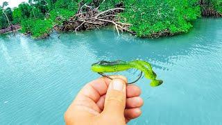 Fishing FROGS in SALTWATER CREEK