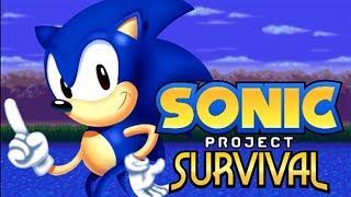 Sonic Survival (fan game)