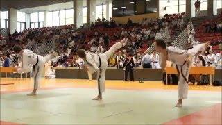 Hapkido Mix (This is Hapkido) 1 of 2