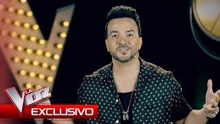 Luis Fonsi will suffer this year | Exclusive | The Voice Spain 2024