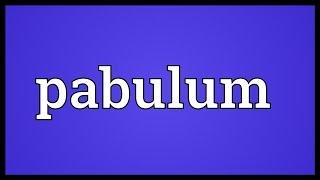 Pabulum Meaning