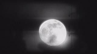 skyfall beats - mystica (music video)