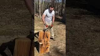 Triceps. #firewood #woodchopping #dadlife #shortvideo #shorts #short #shortsfeed #shortsviral