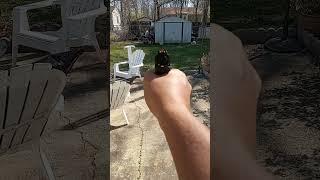 POV Target Practice #airsoft #guns #shooting #toys