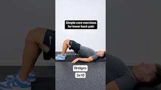 3 SIMPLE Exercises For Lower Back Pain Relief! (Strengthen Your Spine)