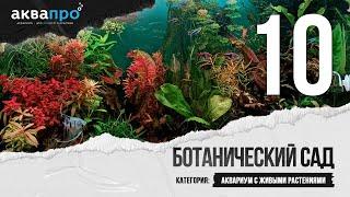 10. Ботанический Сад. Аквариум с живыми растениями