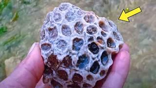 Man Kept This Rock For Years, Cracked It Open And Found This