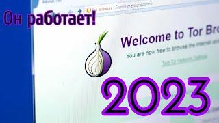 Как подключиться к Tor 2023 | Доступность Tor в РФ