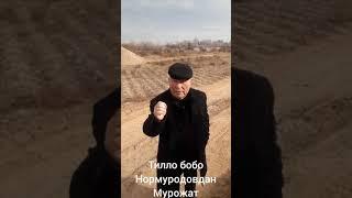 ТИЛЛО БОБО НОРМУРАДОВДАН КАЙТА МУРОЖАТ МАСУЛ ХОДИМЛАРГА