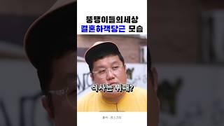 뚱땡이들의새상 하객당근