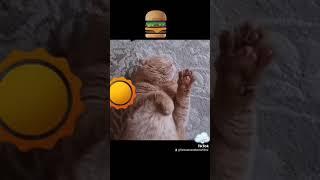 Как проехать?
