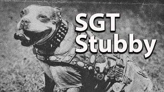 Sergeant Stubby -  World War One Hero on Four Legs