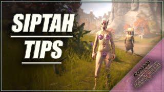 Want to Play SIPTAH? | PVP & PVE | Conan Exiles Beginners Guide