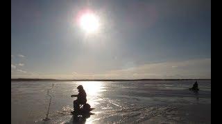 ICE FISHING Baitless jig.Безмотылка на Ладоге. Итоги и снасти  2018 года. Теперь  о приманках.