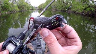 Fishing A Bird Lure For River BEASTS!