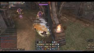 Atelia Fortress AOE solo Lineage 2 Helios