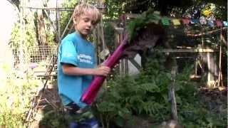 Pod easy edible gardening