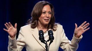 Harris campaign feels ‘very worried’ about dropping support from black male voters