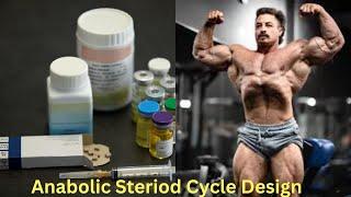 Anabolic Steroid Cycle Design