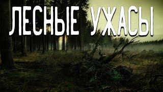 СТРАШНЫЕ ИСТОРИИ ПРО ЛЕС / СТРАШНЫЕ ИСТОРИИ ПРО ТАЙГУ / ДЕРЕВНЯ / СТРАШНЫЕ ИСТОРИИ НА НОЧЬ / ТАЙГА