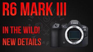 Canon R6 Mark III - In the wild & more details