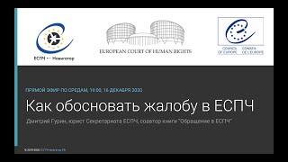 Как обосновать жалобу в ЕСПЧ и ответы на вопросы юриста из ЕСПЧ