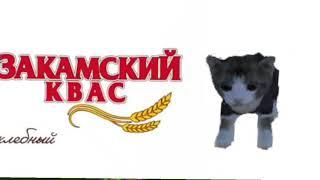 Квас Закамский [Cat Simulator Animal Life версия] #shorts