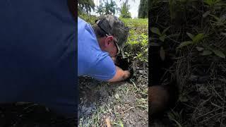 LOOK WHAT WE FOUND IN THIS DARK MUD HOLE