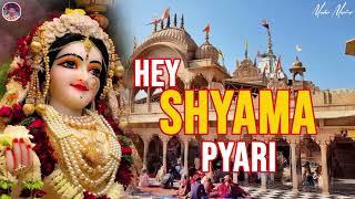 Hey Shyama Pyari | Tere Bina Koi Nahi Hai Mera Mujhe Sahara Shyama Ju Tera | Radha Rani Ke Bhajan