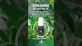 Atrazine 50% SC  #kenvos #herbicide