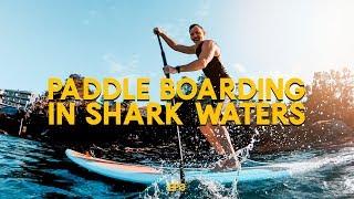 Paddle Boarding In Shark Infested Waters || Cool Dad, Burnt 1000 Calories