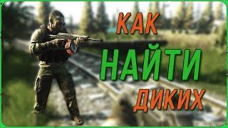 Как найти Диких если тебе нужно сделать квест в игре Escape from Tarkov