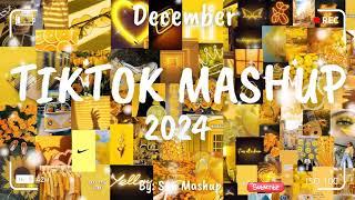 Tiktok Mashup December 2024 (Not Clean)