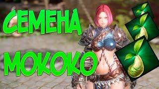 ГАЙД LOST ARK - Карта СЕМЕНА МОКОКО