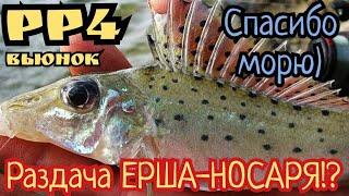 РР4. Раздача Ерша-носаря на Вьюнке? Спасибо Норвежскому морю) Трофеи в чате!