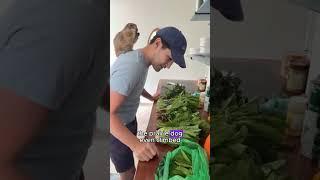 A pregnant prairie dog jumped into the man's car.#prairiedog #shorts #animals #pets #love #cute