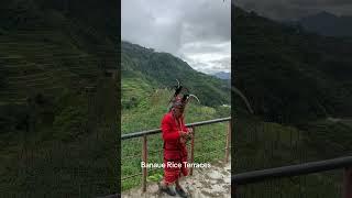 Rice Terraces