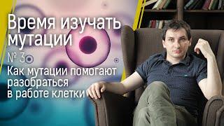 Время изучать мутации №3: как мутации помогают разобраться в работе клетки