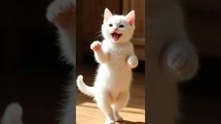 The Silent Waltz: A White Kitten in Joy #viral #shorts #foreveryone #funny