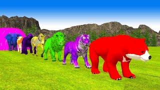 Paint Animals Gorilla,Lion,Tiger,Elephant,Cow,Black Bear,Zebra Fountain Crossing Animal Cartoon Game